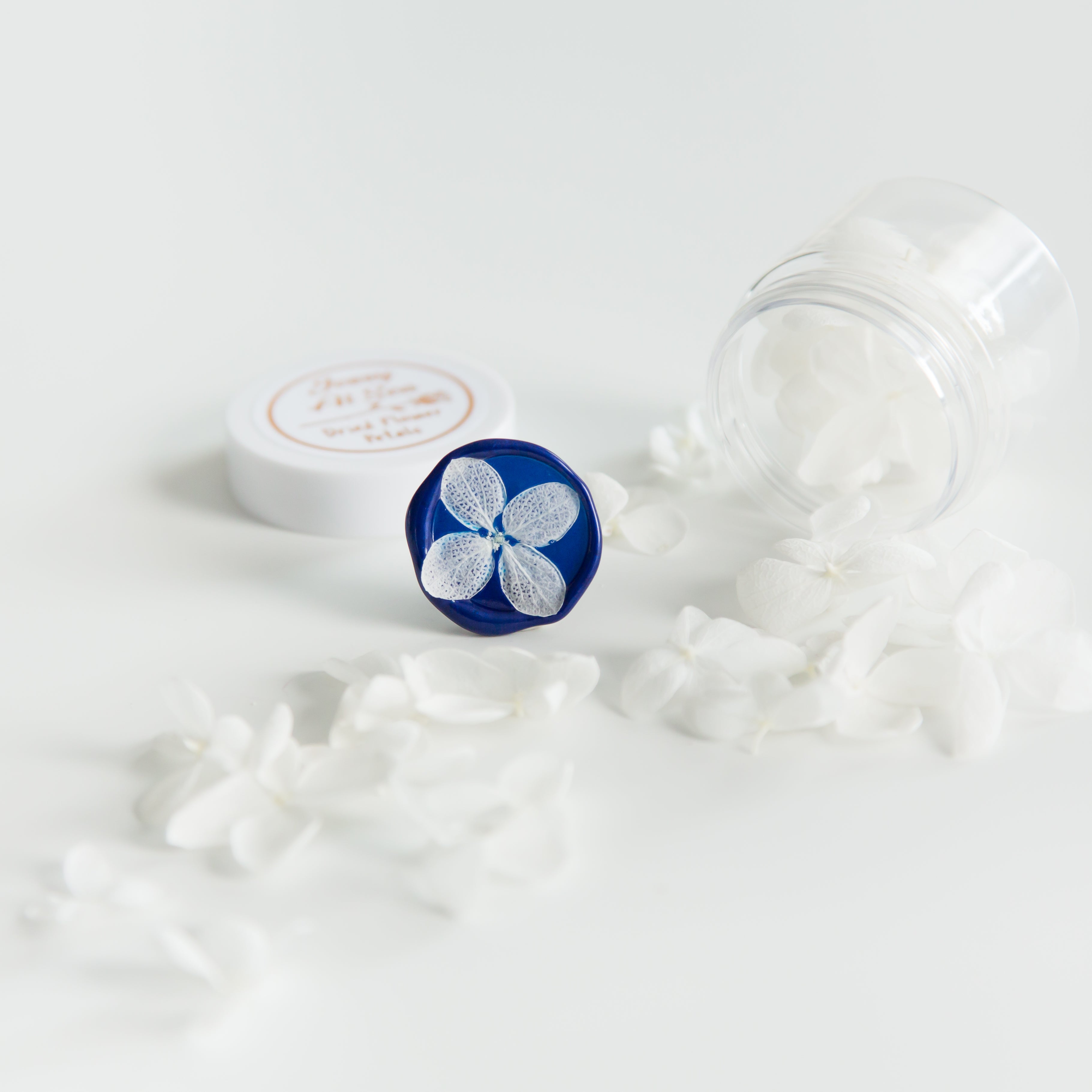 hortensia blaadjes wit