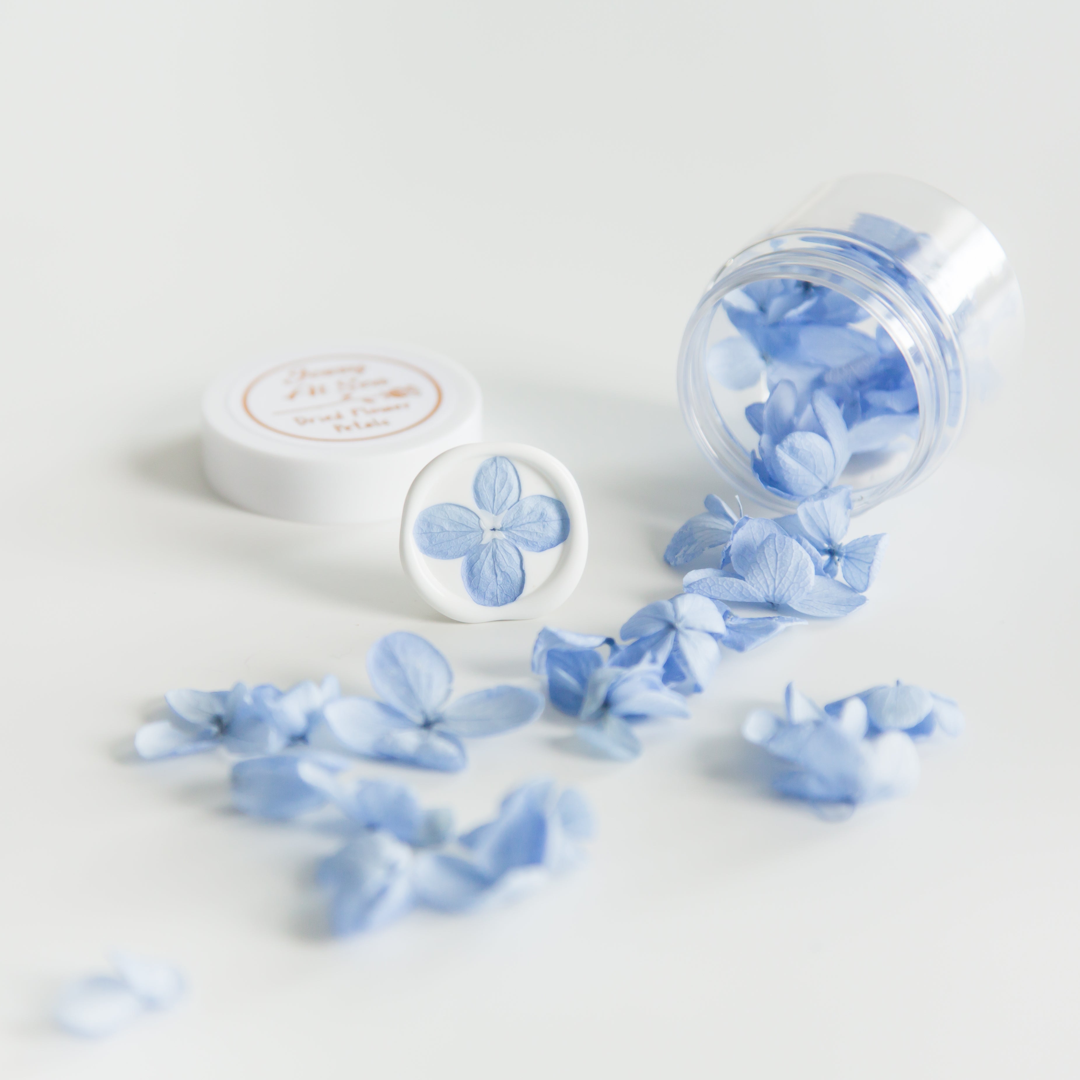 hortensia blaadjes blauw