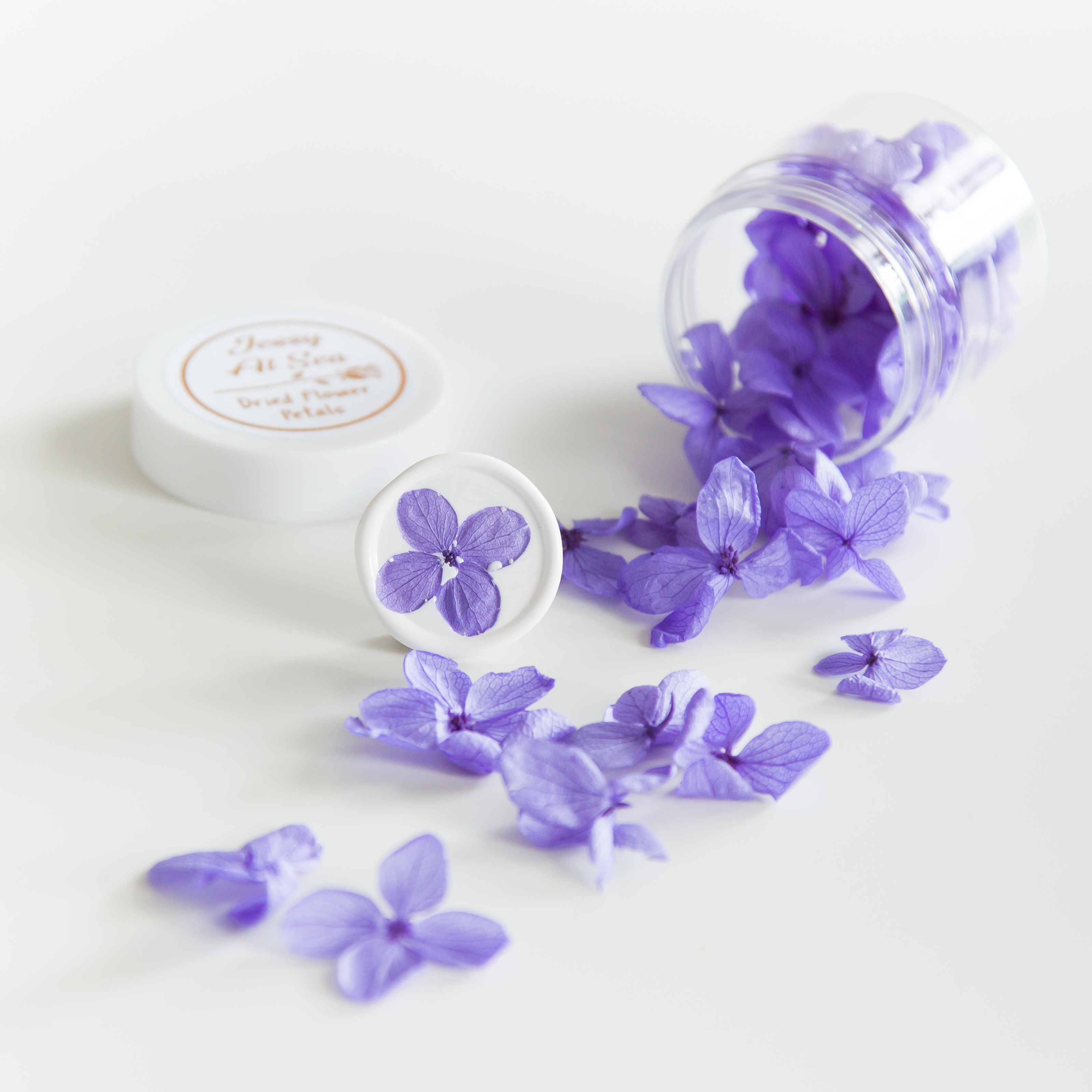 Hortensia blaadjes • Paars