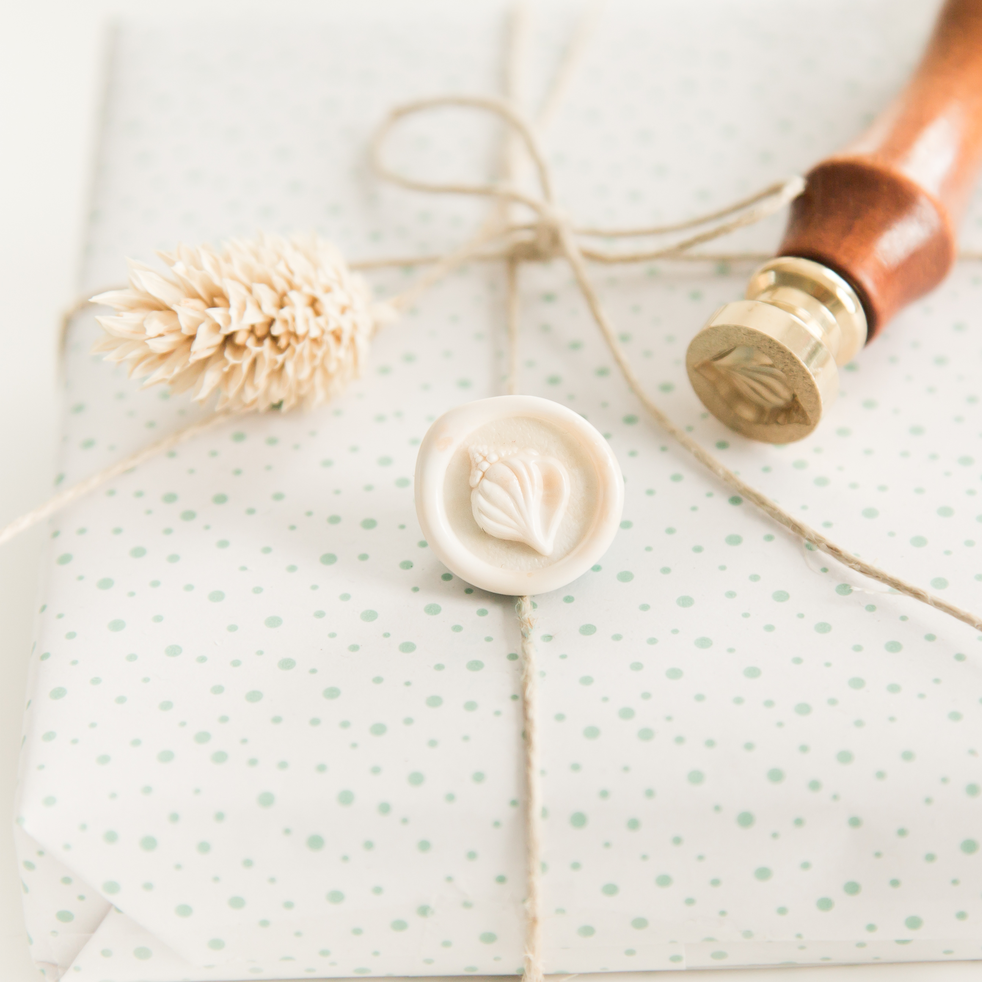 Mini Kokkel schelp Wax Stempel