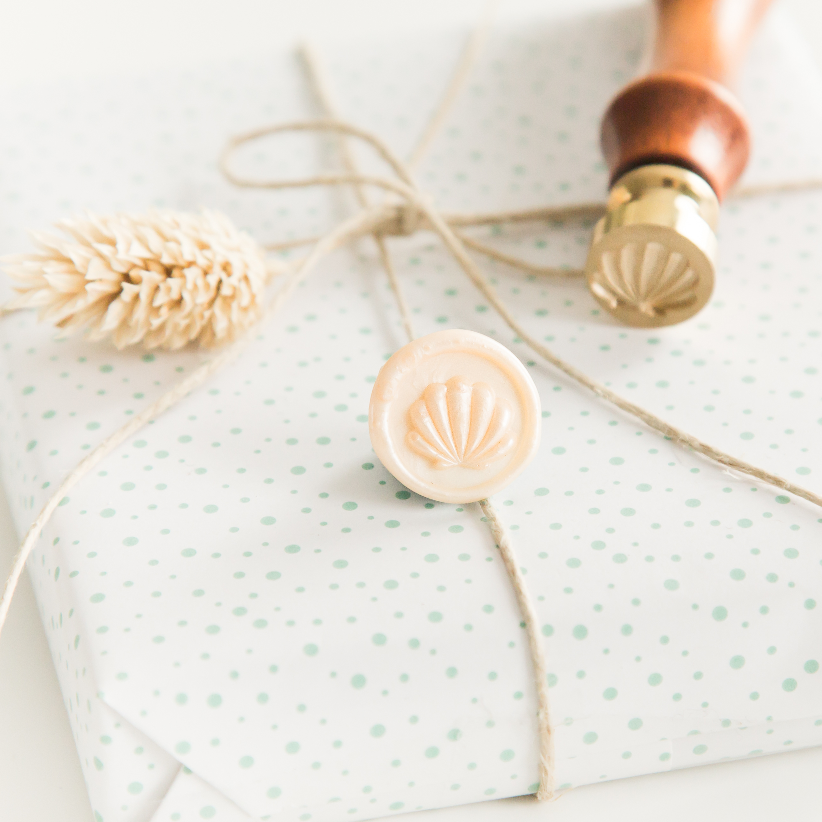Mini Schelp Wax Stempel