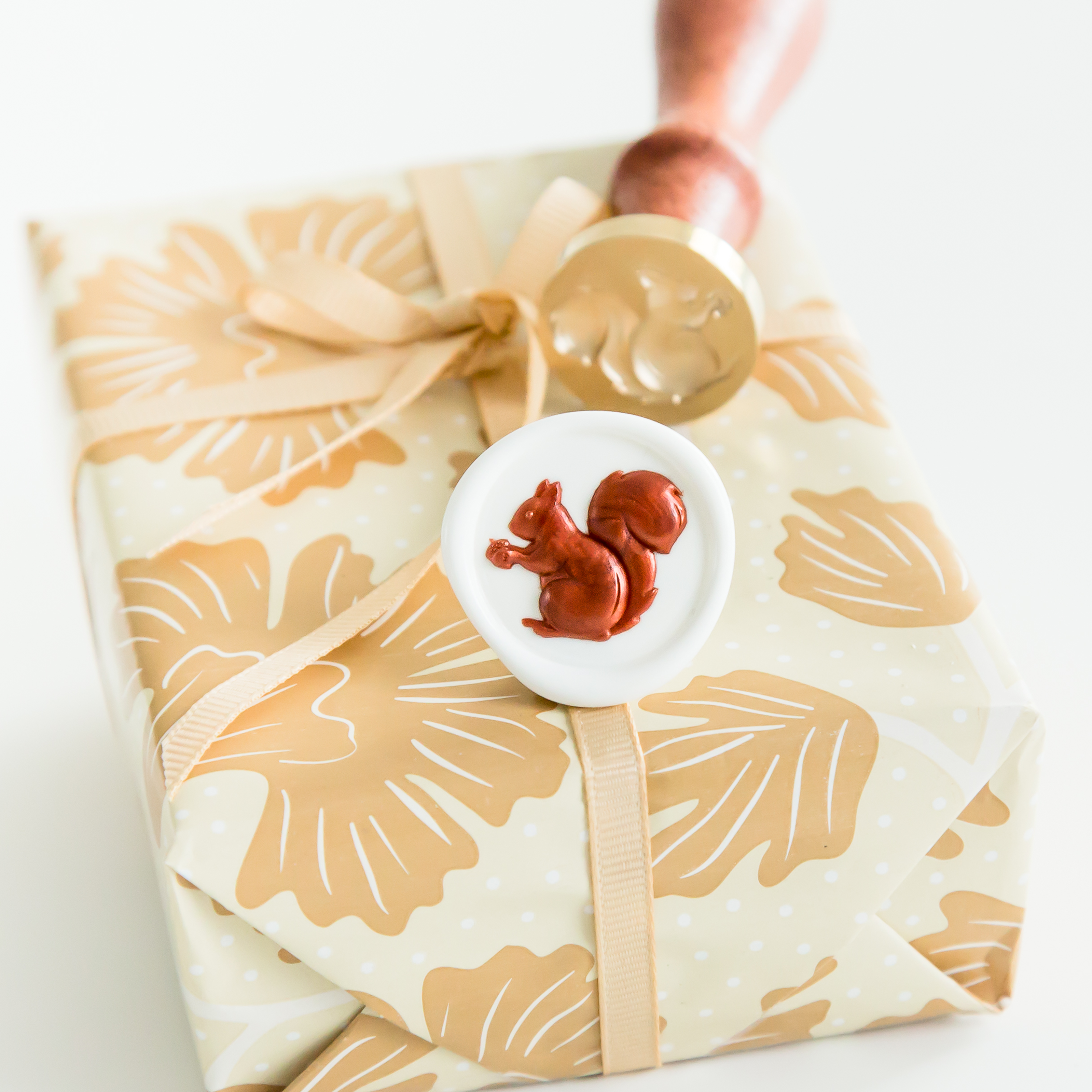 3D Eekhoorn Wax Stempel