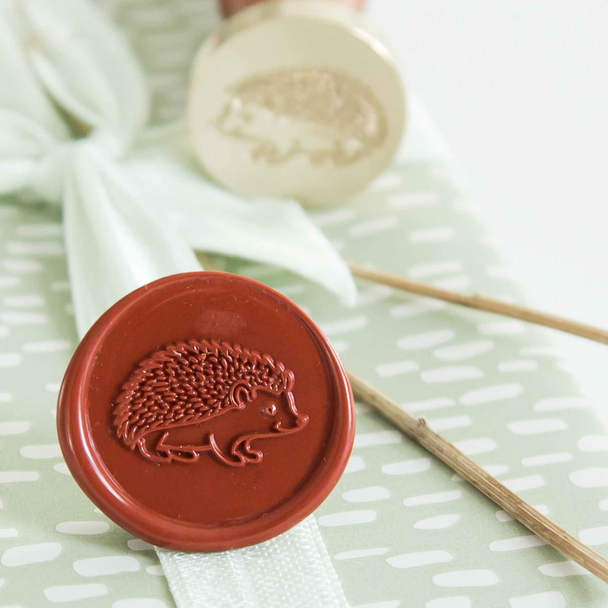 JessyAtSea Hedgehog Zoomin