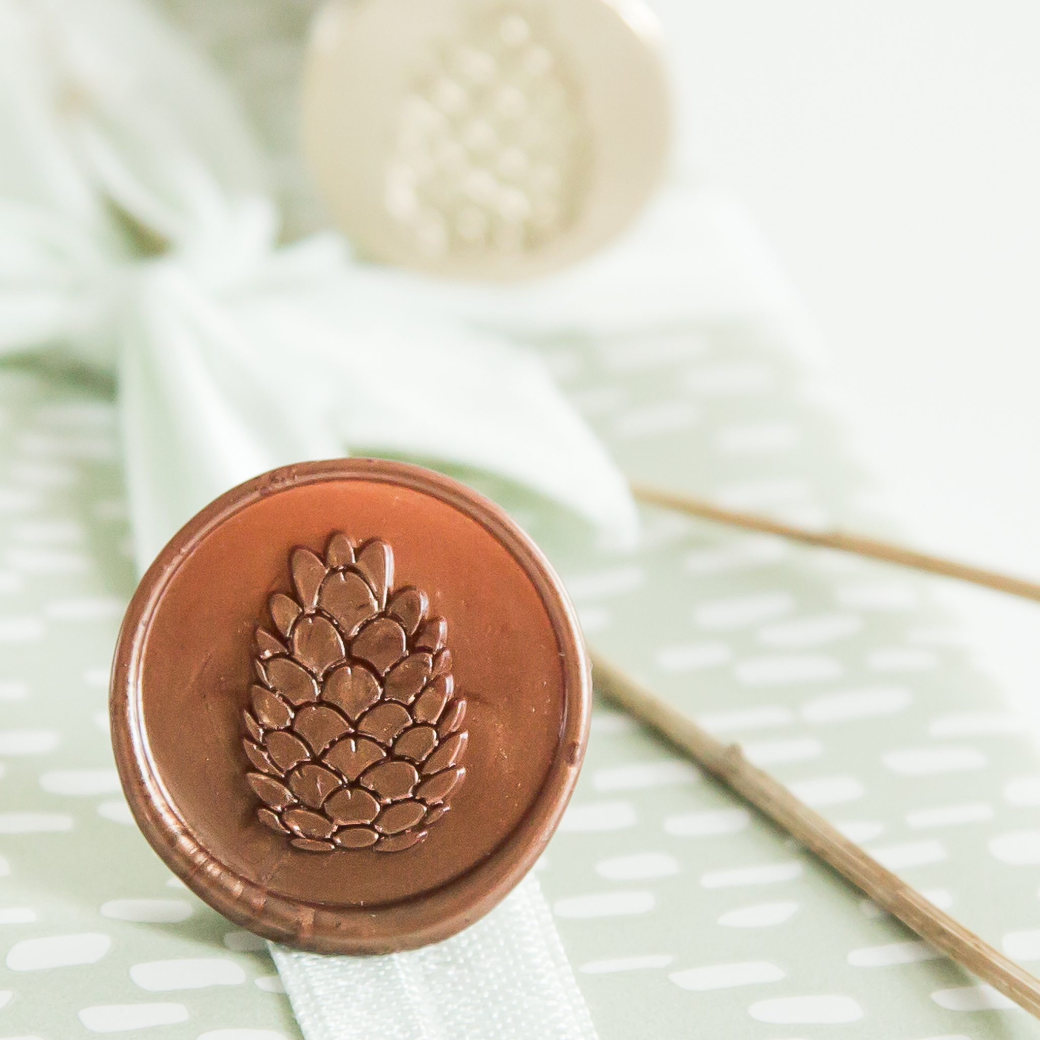 JessyAtSea Pinecone Zoomin