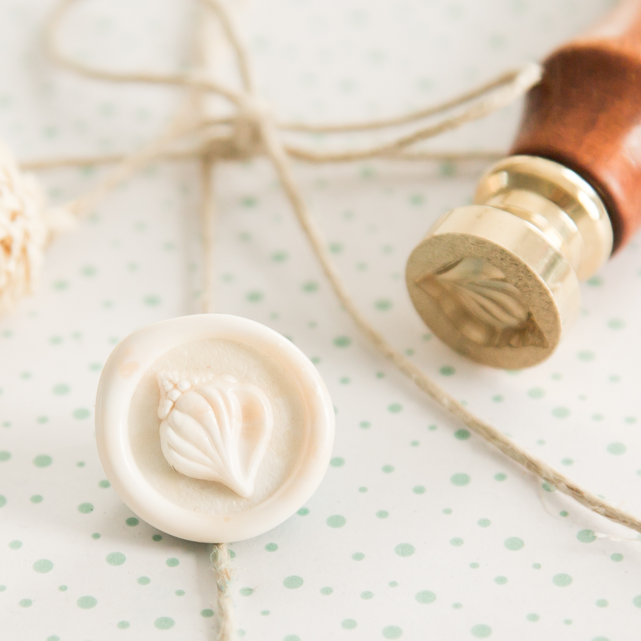 Mini Kokkel schelp Wax Stempel