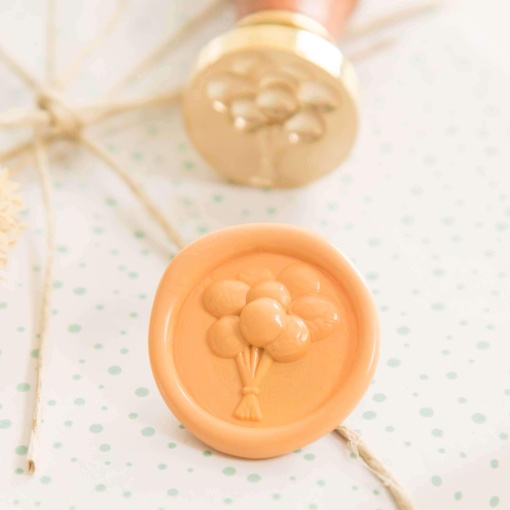 Ballonnen Wax Stempel