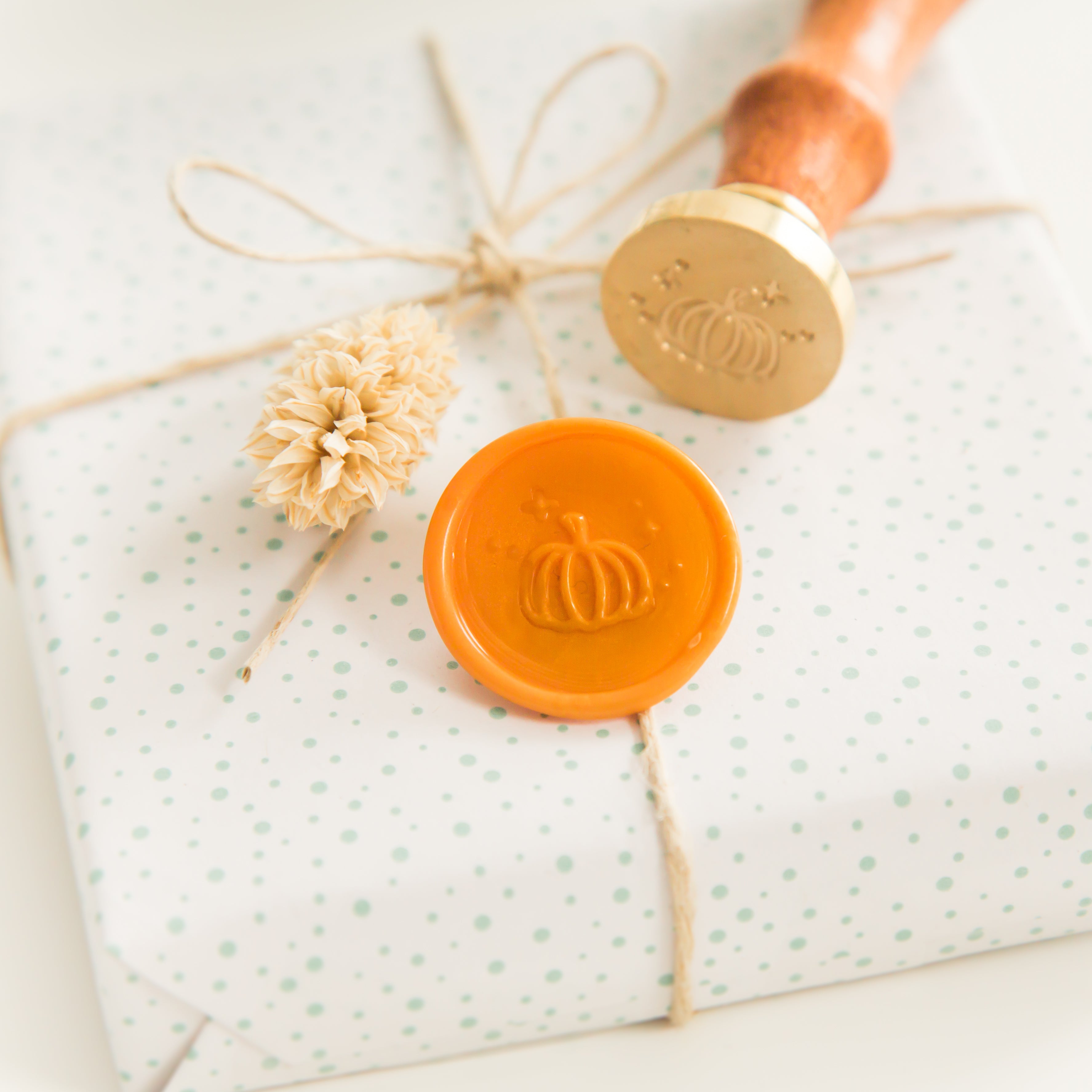 Pompoen Wax Stempel