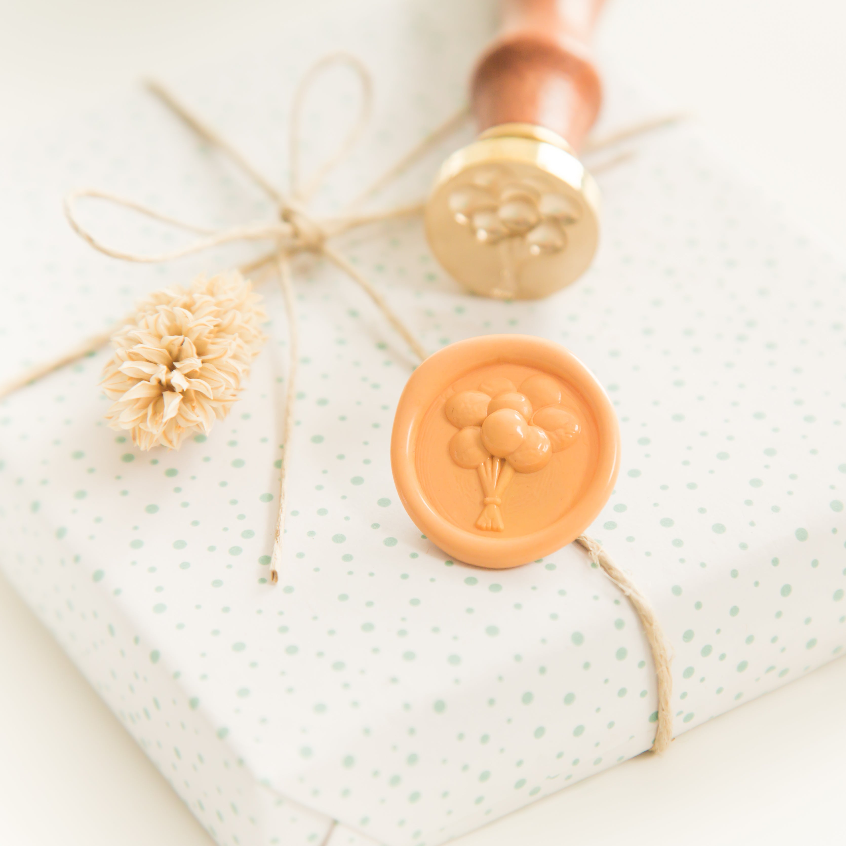 Ballonnen Wax Stempel