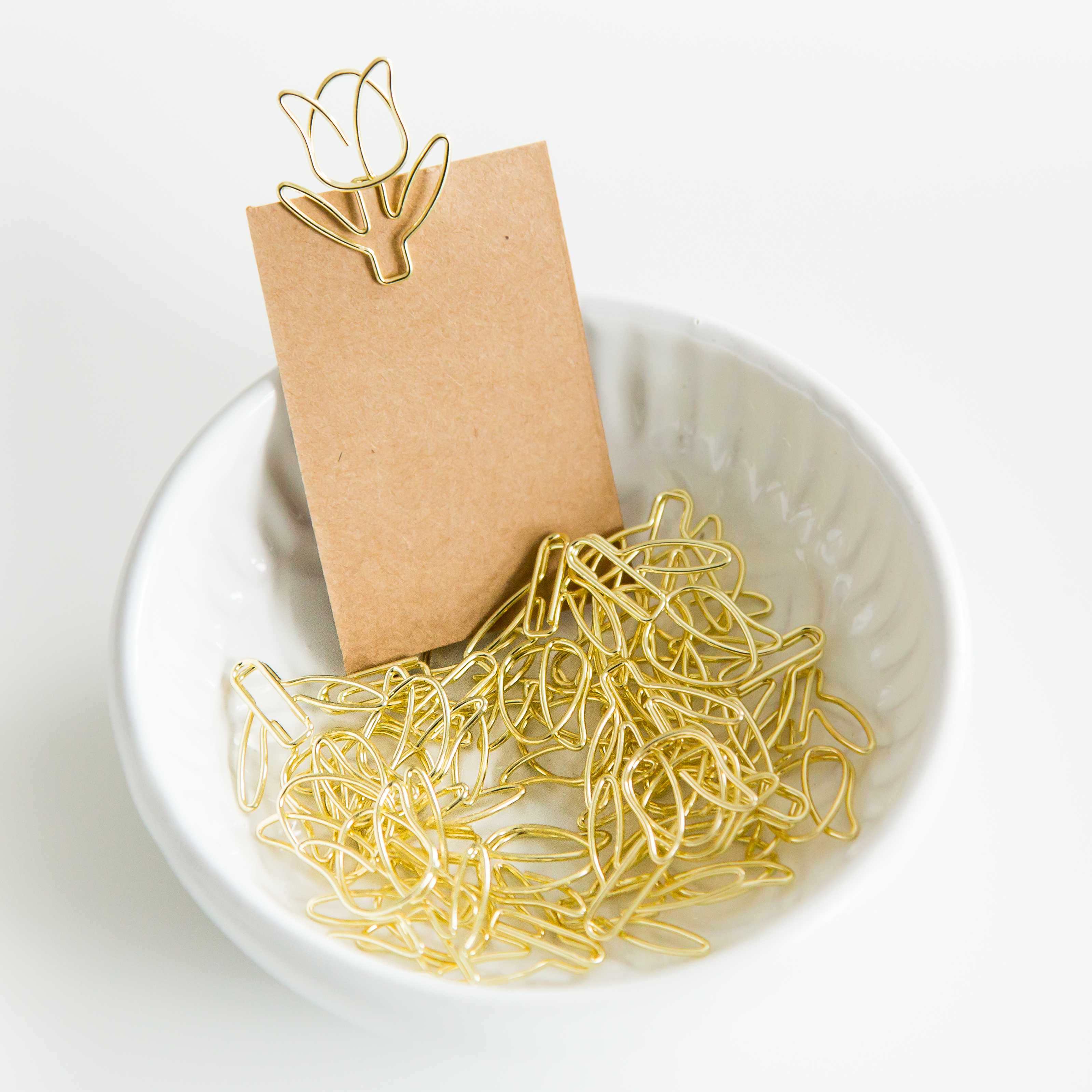Tulp • Paperclips