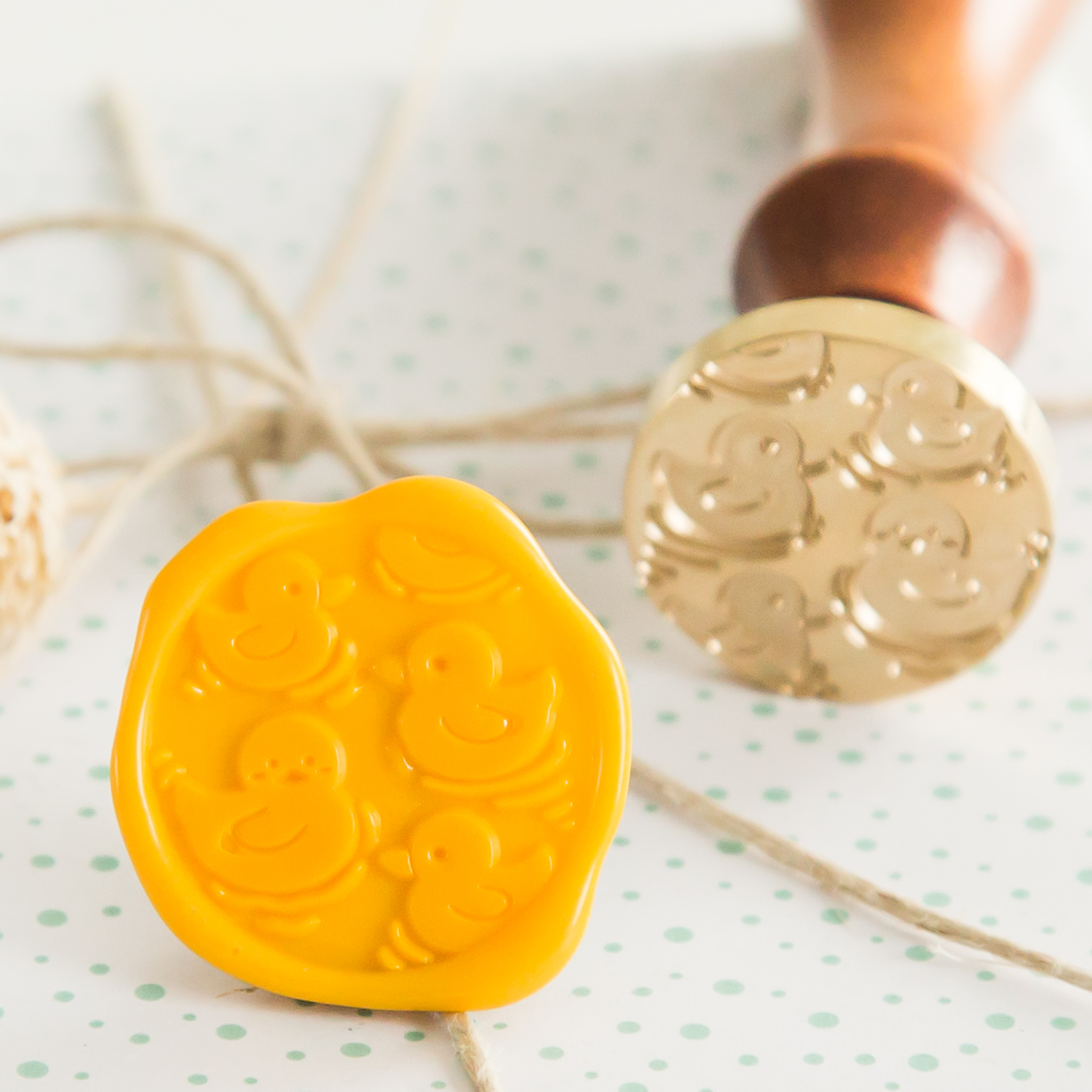Eendjes Patroon Wax Stempel
