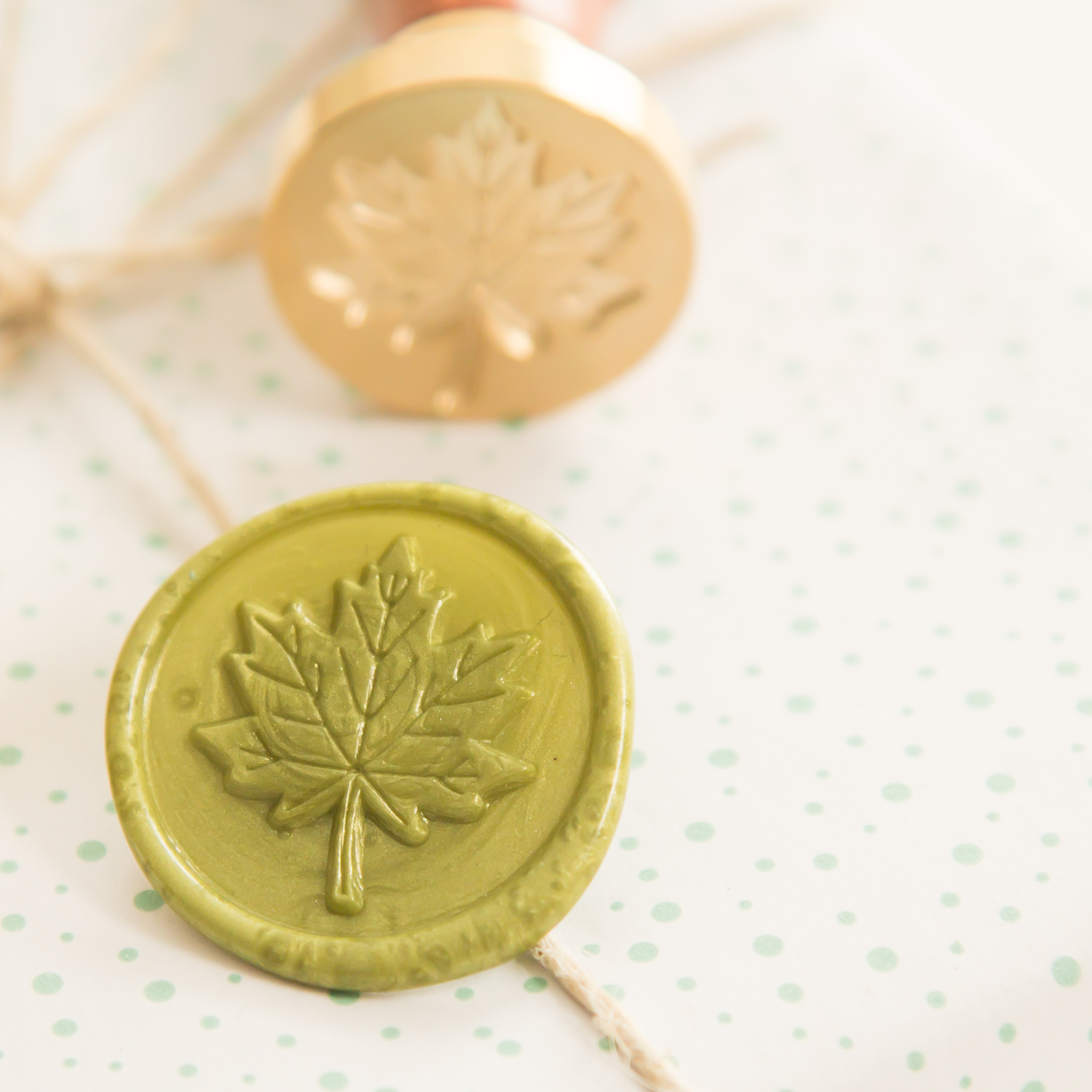 Esdoorn Blad Wax Stempel