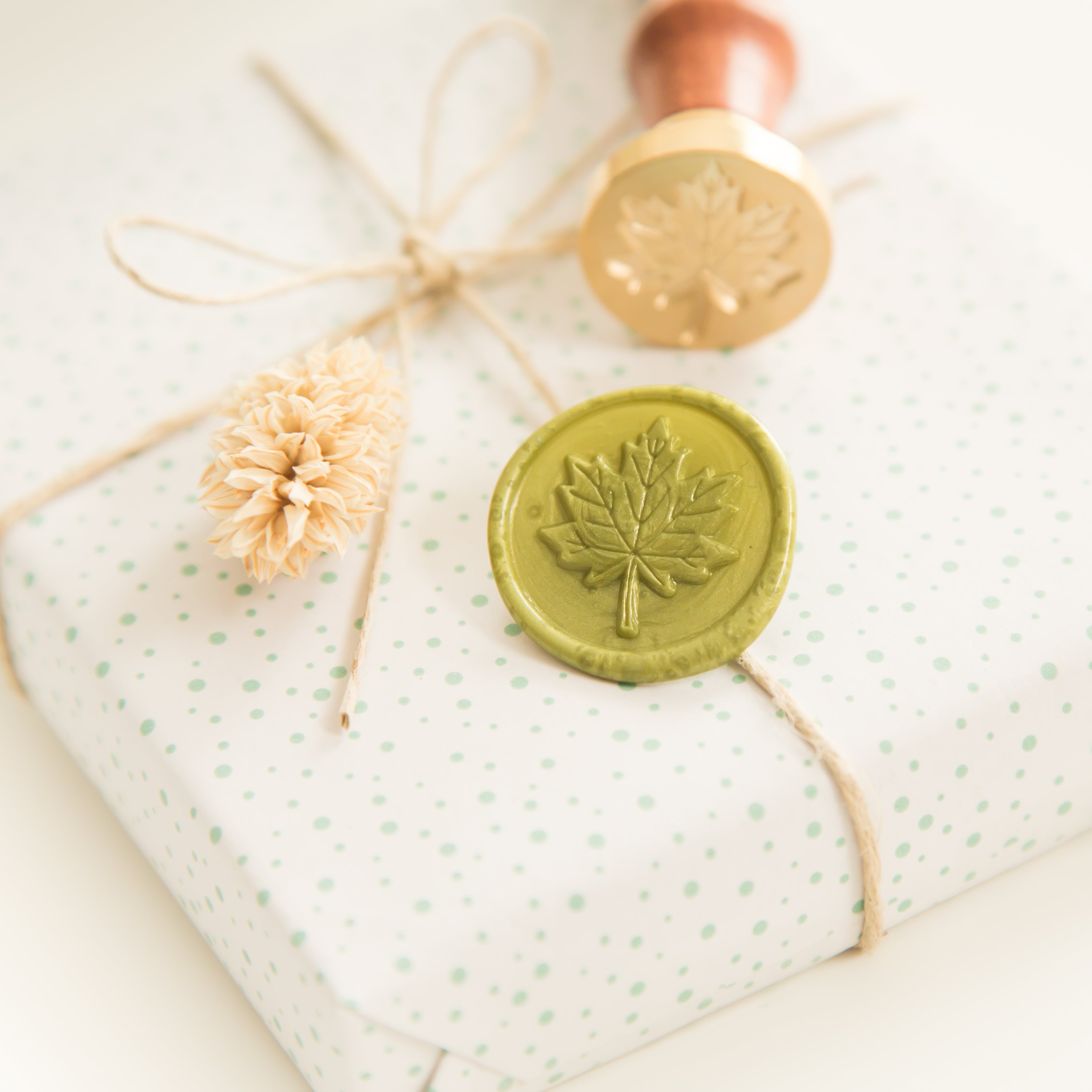 Esdoorn Blad Wax Stempel