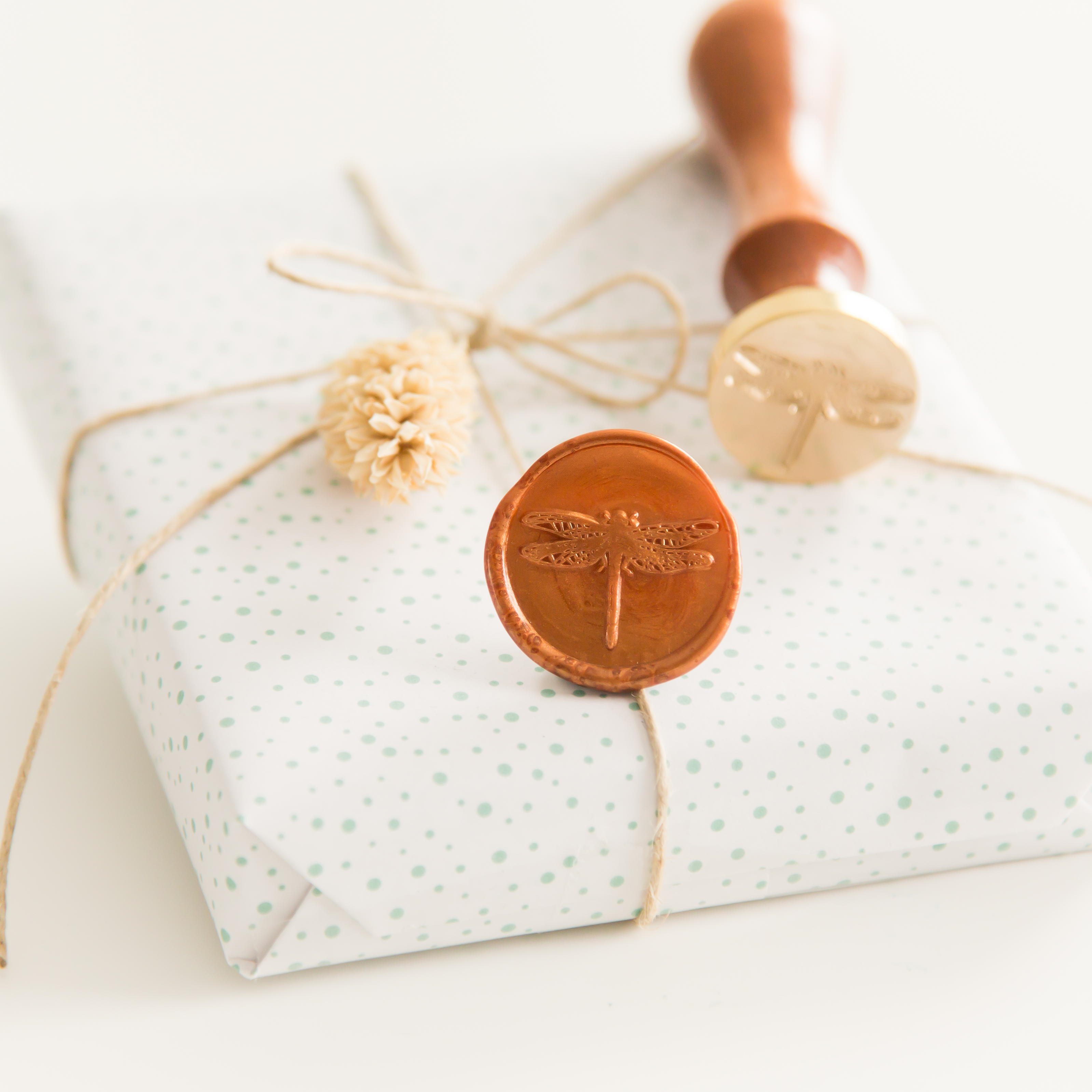 Libelle • Siegelstempel